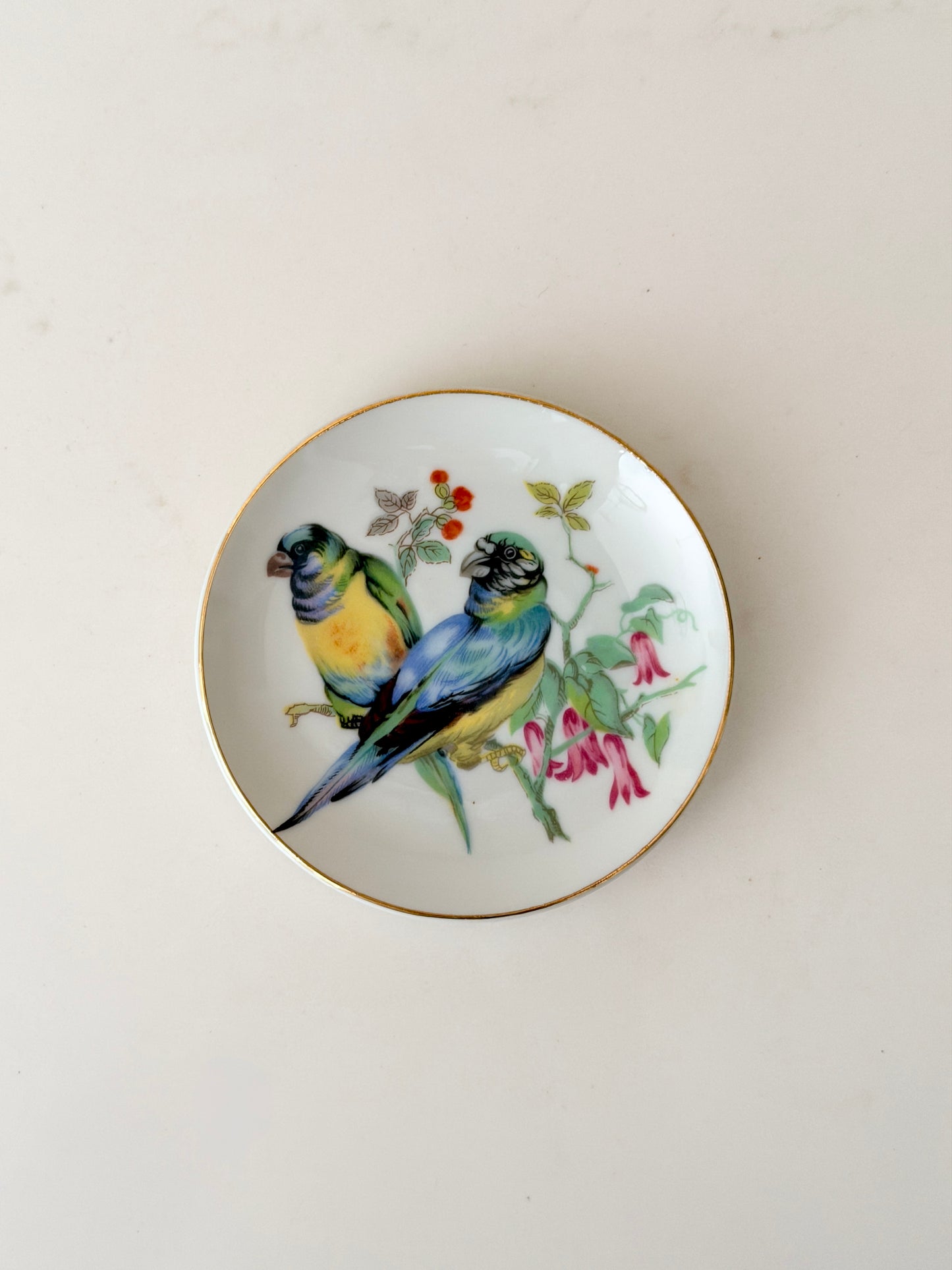 Vintage 4” Parrots Plate