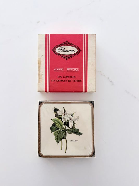 Vintage Set of 6 Magnolia Ontario Acrylic Coasters