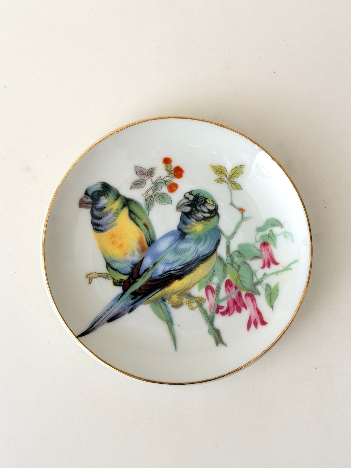 Vintage 4” Parrots Plate