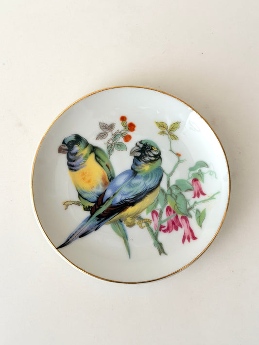 Vintage 4” Parrots Plate