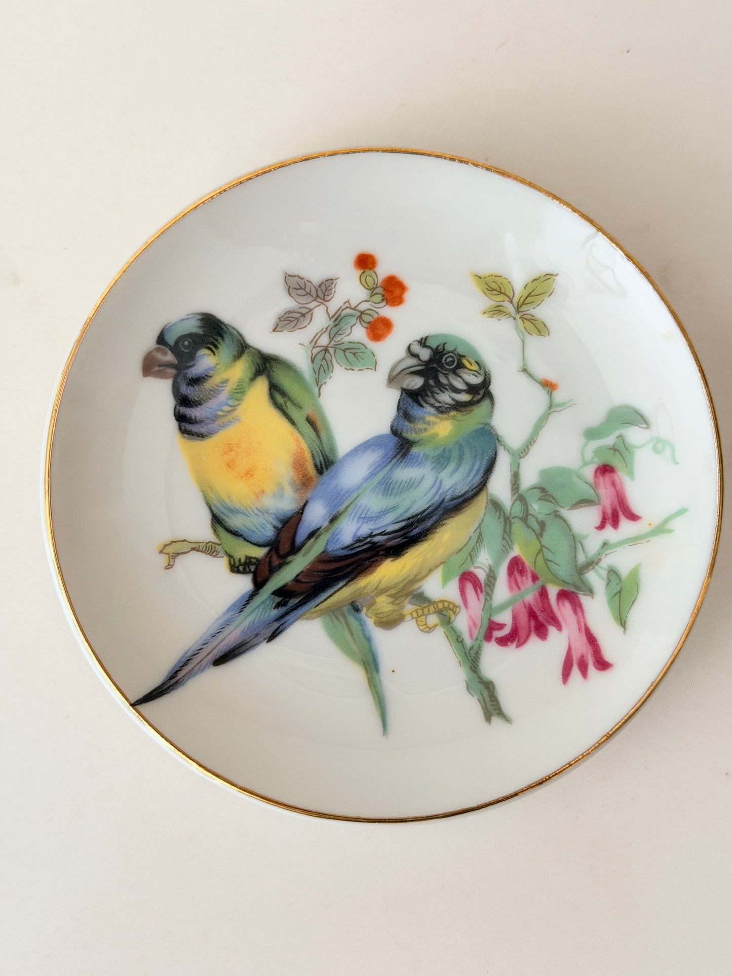 Vintage 4” Parrots Plate