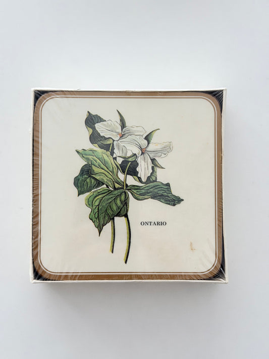 Vintage Set of 6 Magnolia Ontario Acrylic Coasters
