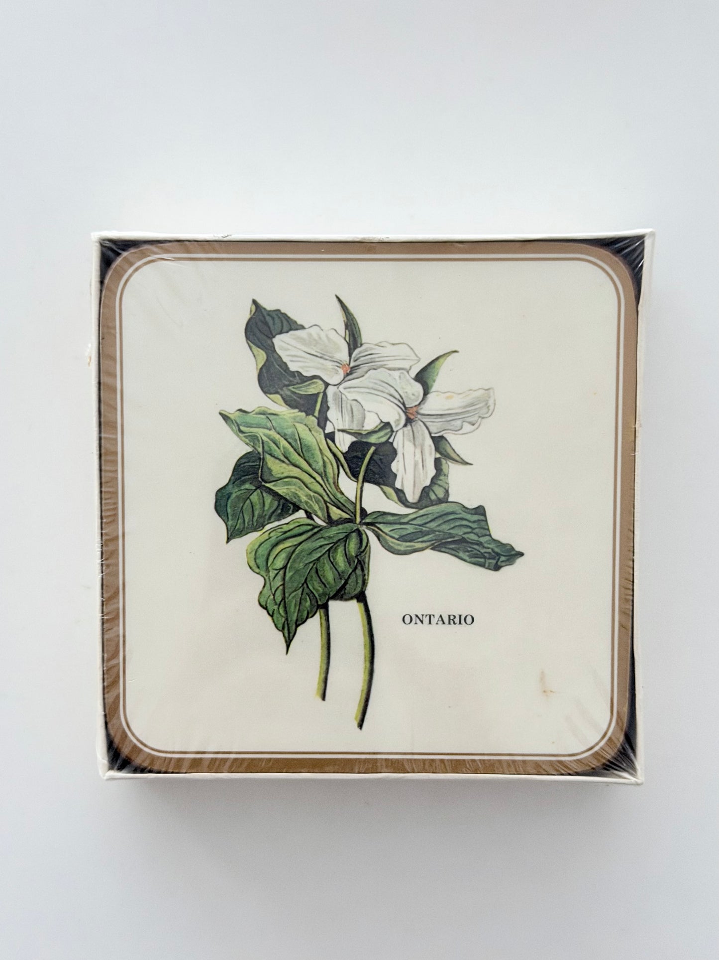 Vintage Set of 6 Magnolia Ontario Acrylic Coasters