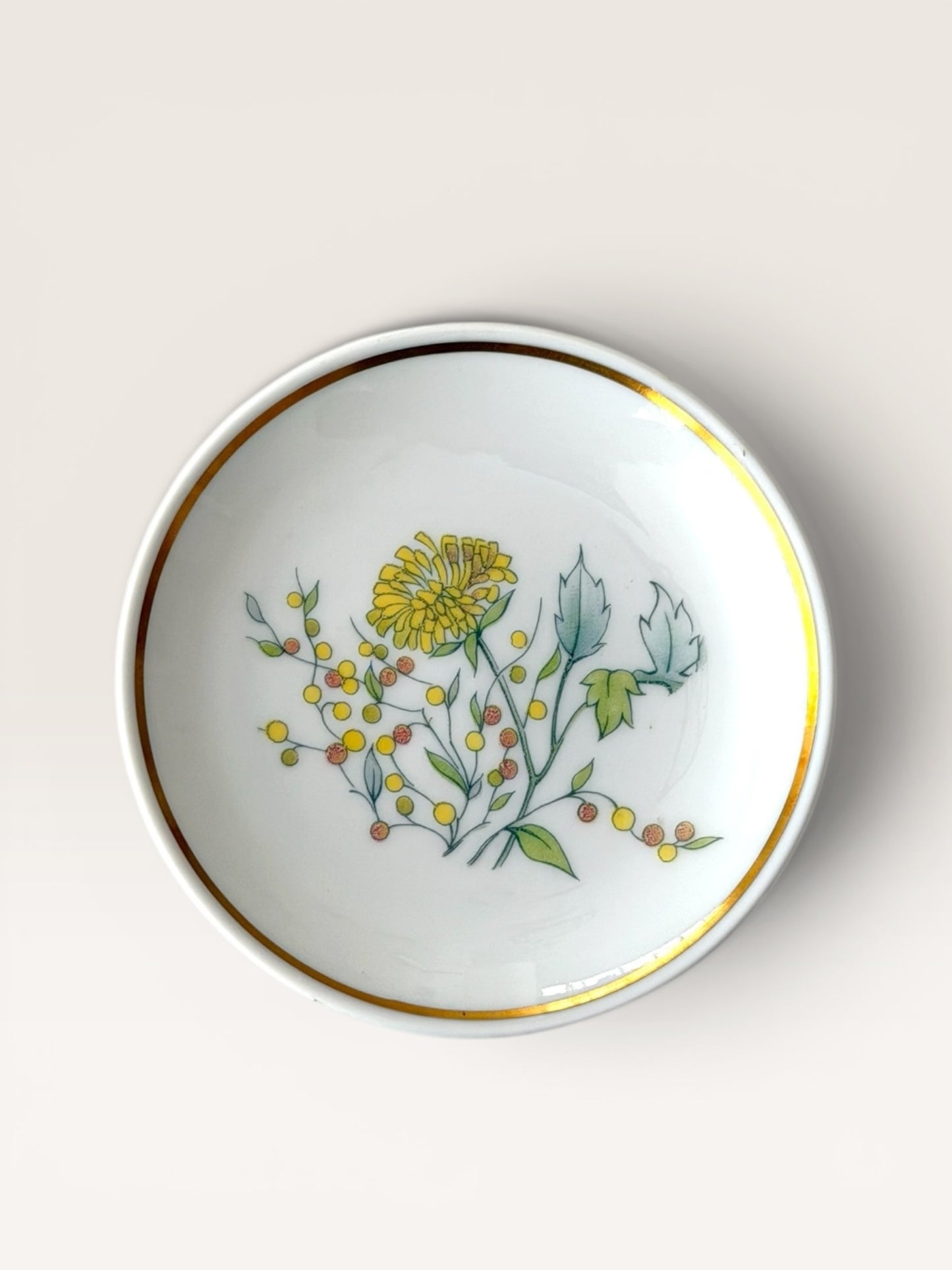 Vintage Ginori Porcelain Butter Pats