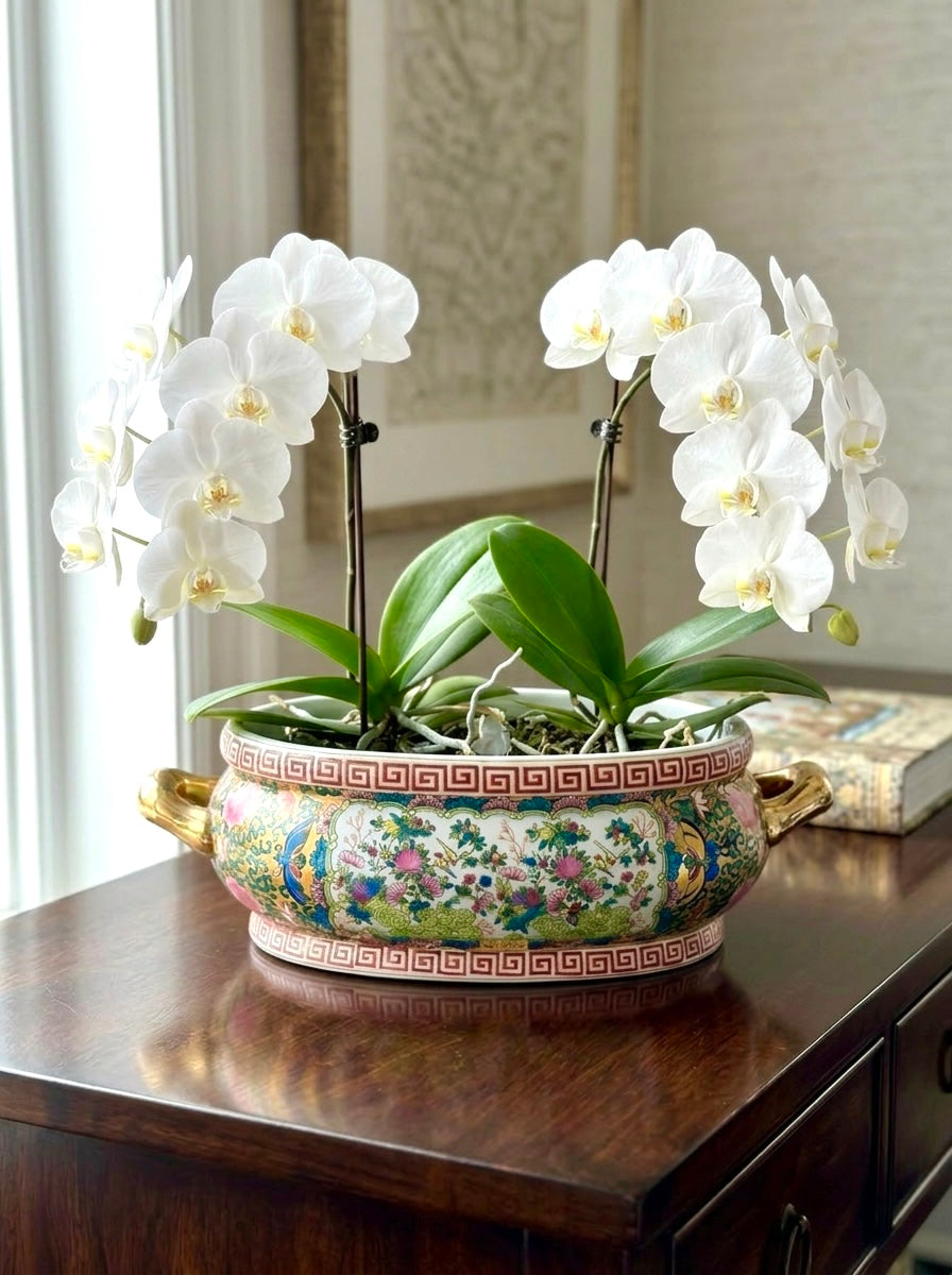 Vintage Rose Canton Foot Bath