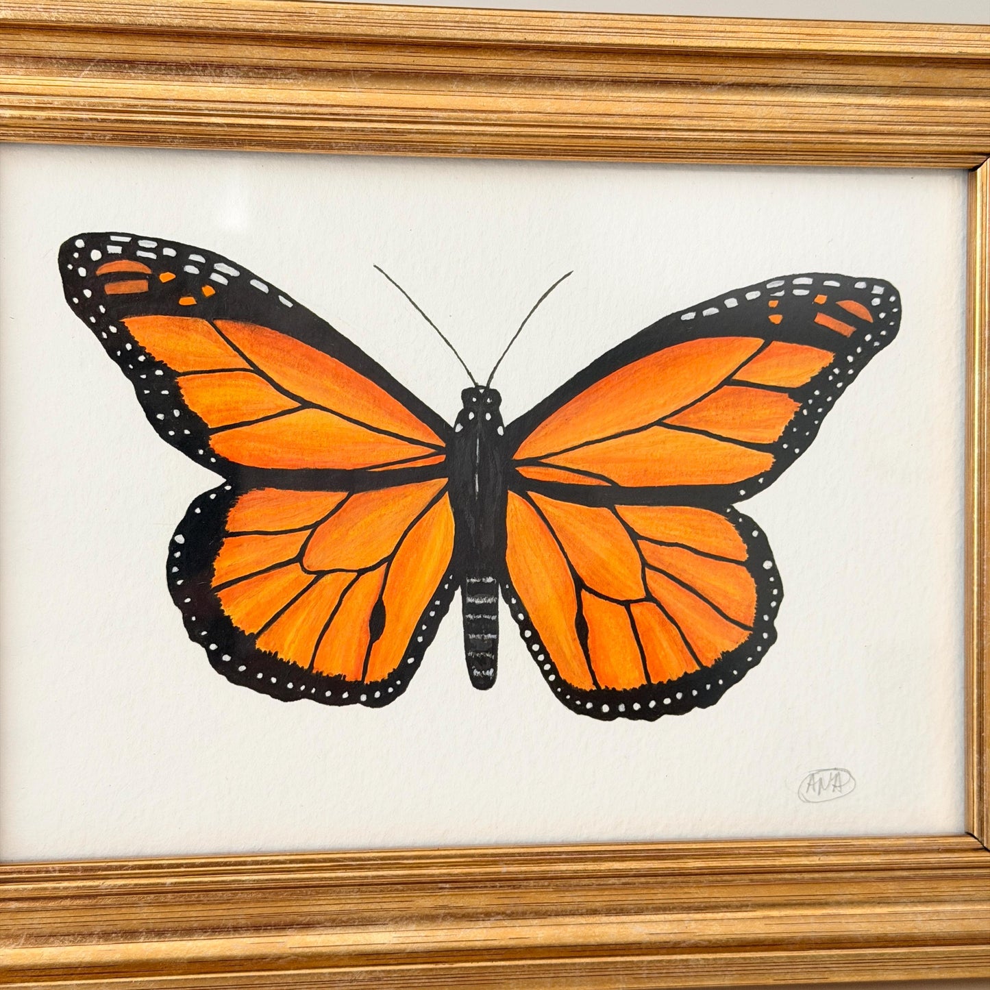 Framed Original Gouache Monarch Butterfly Painting